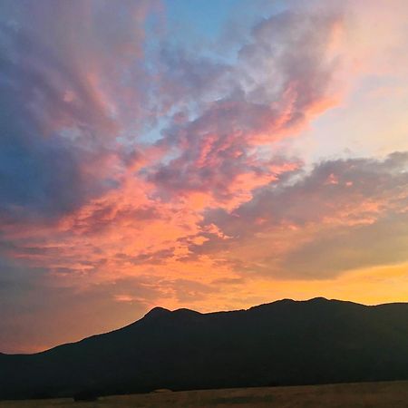 Agriturismo Il Ginepro فلومينيماجيوري المظهر الخارجي الصورة
