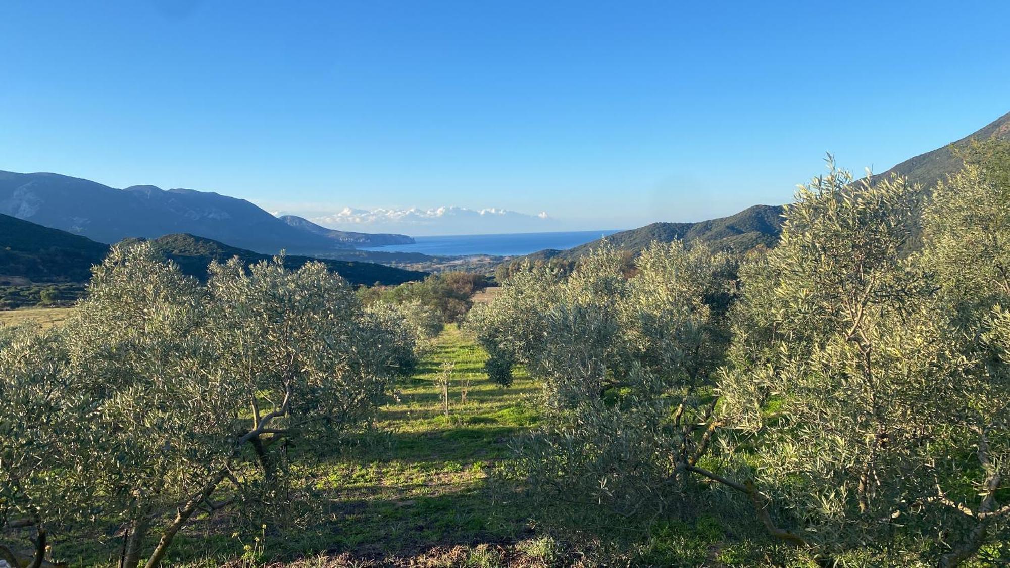 Agriturismo Il Ginepro فلومينيماجيوري المظهر الخارجي الصورة