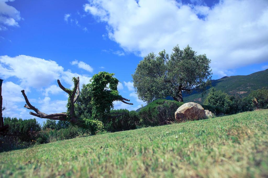 Agriturismo Il Ginepro فلومينيماجيوري المظهر الخارجي الصورة