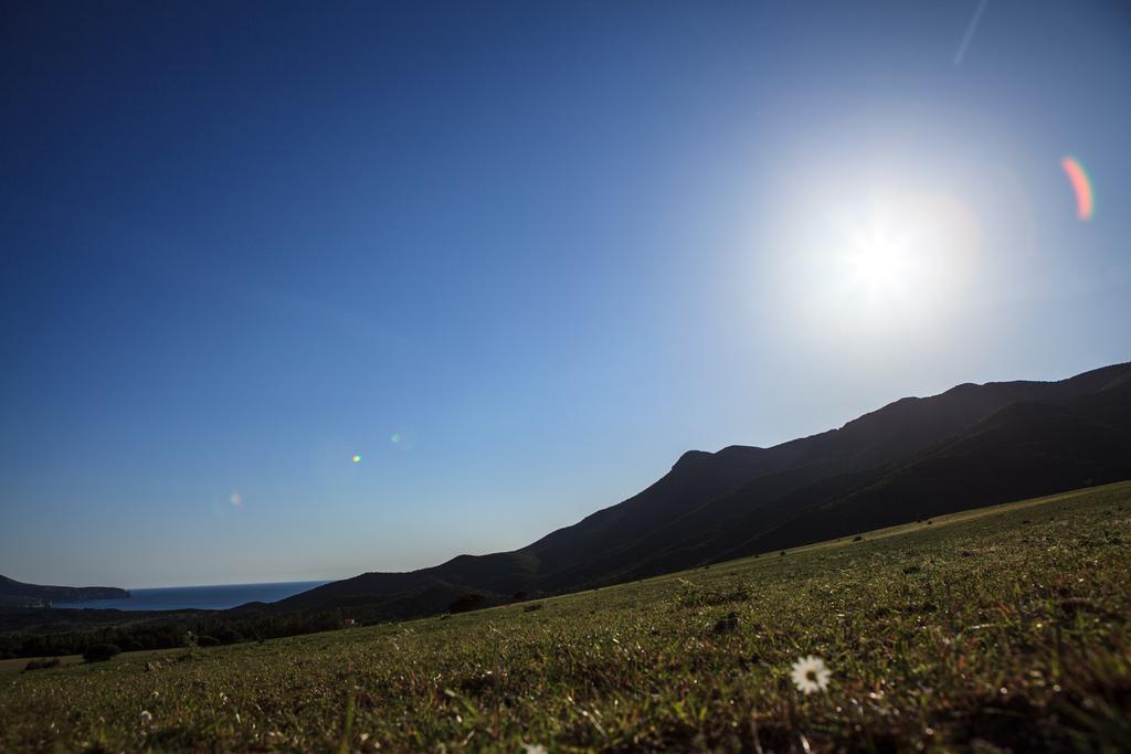 Agriturismo Il Ginepro فلومينيماجيوري المظهر الخارجي الصورة