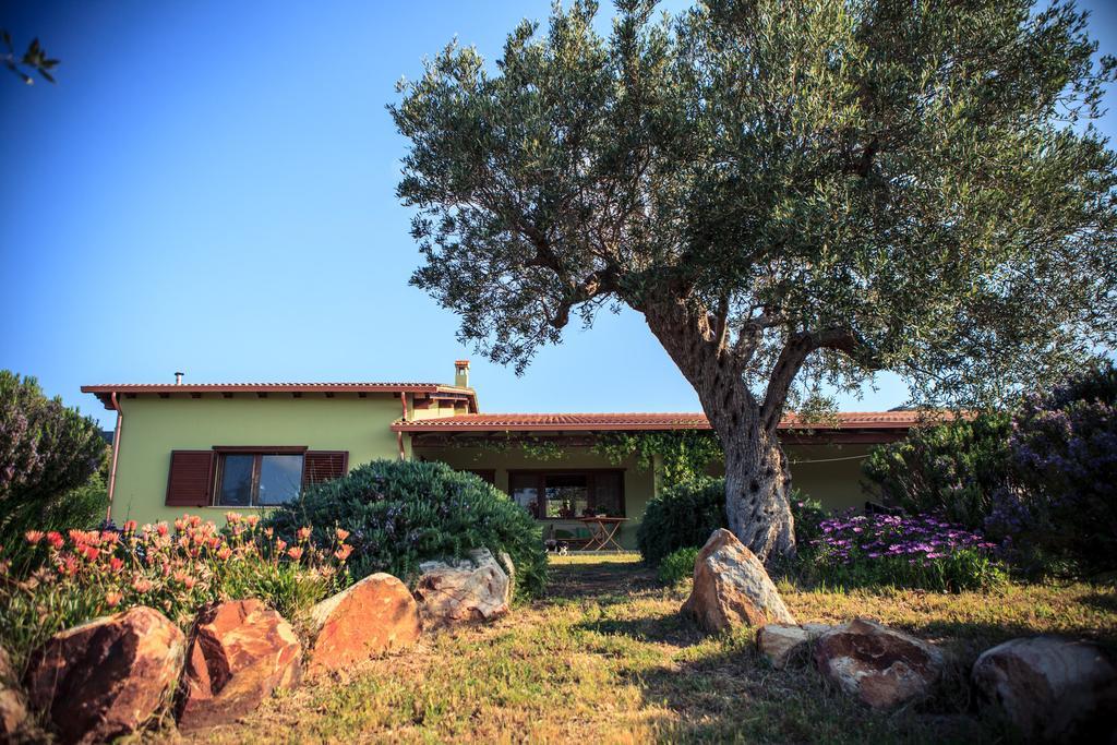 Agriturismo Il Ginepro فلومينيماجيوري المظهر الخارجي الصورة