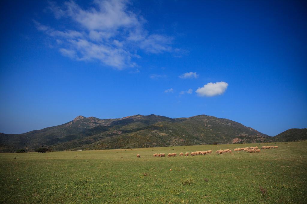 Agriturismo Il Ginepro فلومينيماجيوري المظهر الخارجي الصورة