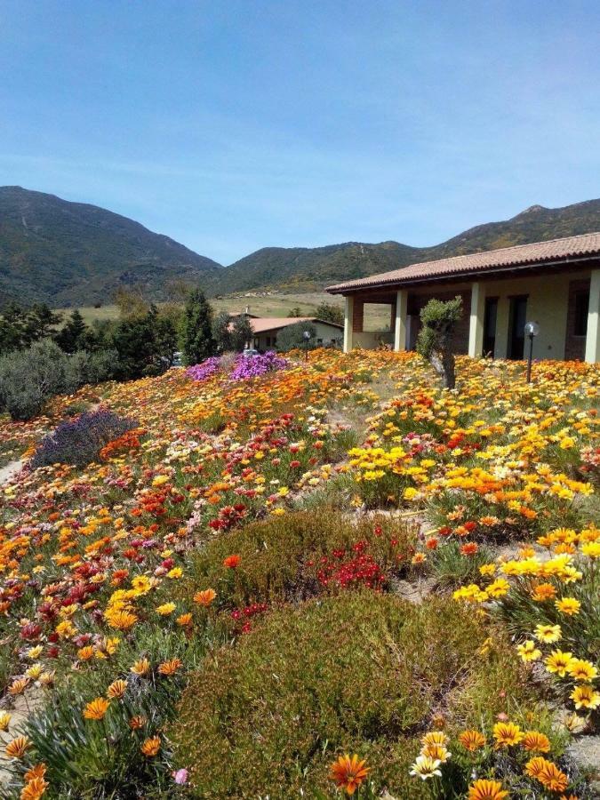 Agriturismo Il Ginepro فلومينيماجيوري المظهر الخارجي الصورة