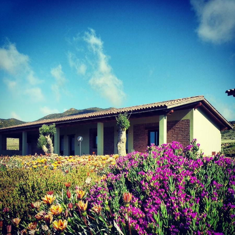 Agriturismo Il Ginepro فلومينيماجيوري المظهر الخارجي الصورة