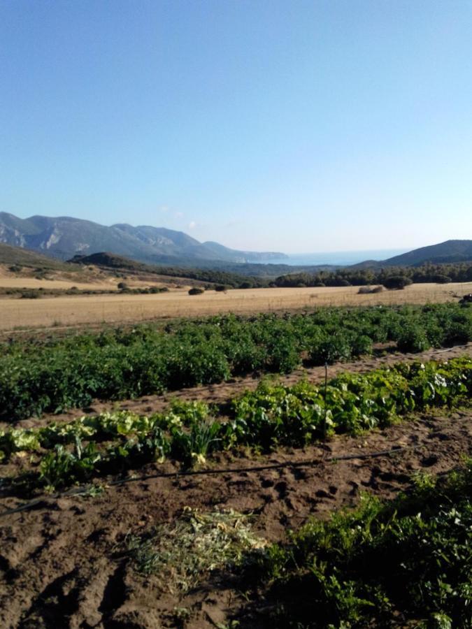 Agriturismo Il Ginepro فلومينيماجيوري المظهر الخارجي الصورة